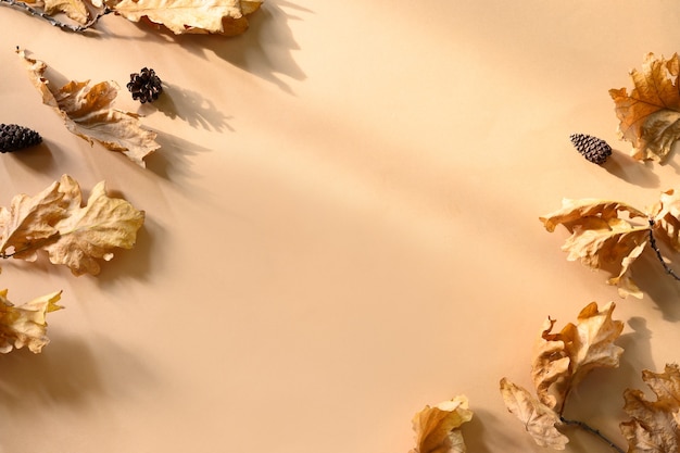 Feuilles de chêne doré tombées isolées sur beige