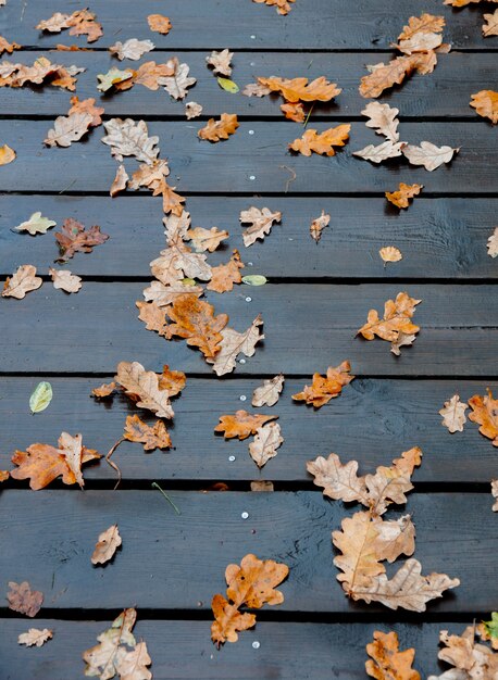 Feuilles de chêne sur les poutres d'un pont en bois dans un parc en automne