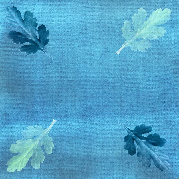 Feuilles de chrysanthème sur fond aquarelle bleu peint à la main