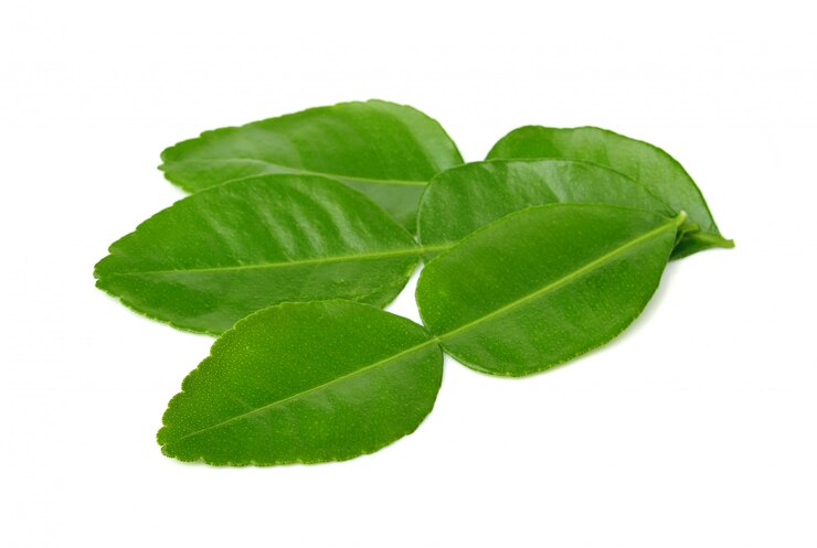 Feuilles de citron vert kaffir isolés