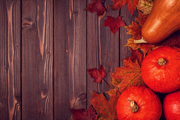 feuilles colorées et citrouilles sur bois.