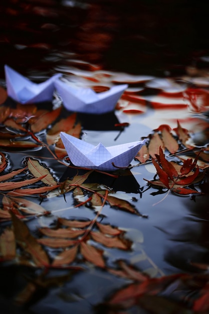 Feuilles colorées sur l'eau