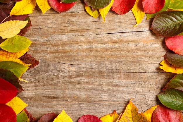 Feuilles colorées de fond automne. Copiez l'espace, vue de dessus.