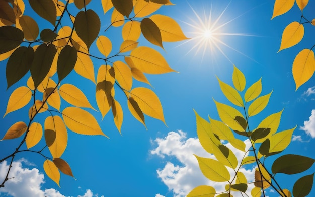 Les feuilles contre le ciel bleu avec un soleil brillant ciel ensoleillé soleil de fond