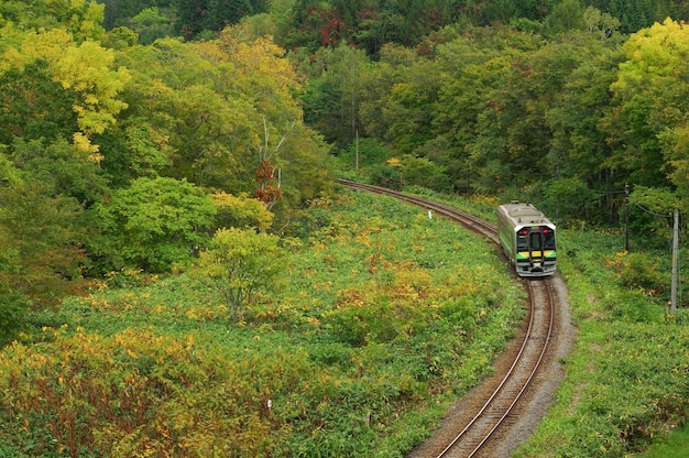 Photo les feuilles de demi-automne et le train local