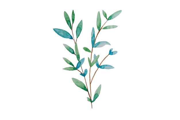 Feuilles dessinées à la main, illustration aquarelle. Printemps vert et bleu, élément botanique de Pâques.