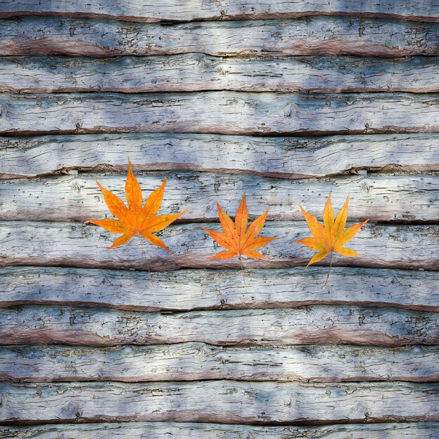 Feuilles Dispersées Sur La Table En Bois Rendu 3d