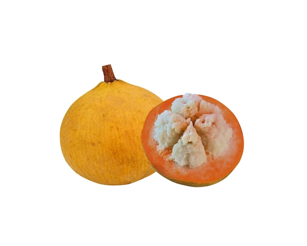 Photo les feuilles et l'écorce du fruit de coton sandoricum koetjape santol ont été utilisées en médecine comme cataplasme