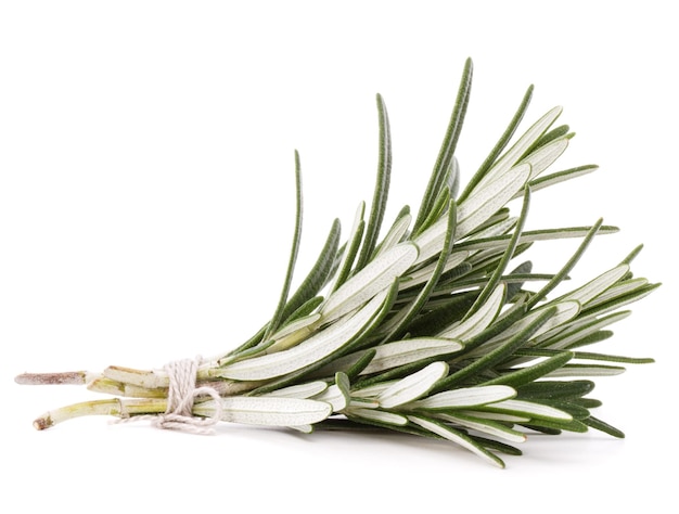 Feuilles d'épices aux herbes de romarin isolées sur la découpe de fond blanc