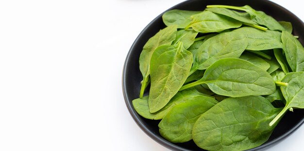 Feuilles d'épinard Légume extrêmement riche en nutriments