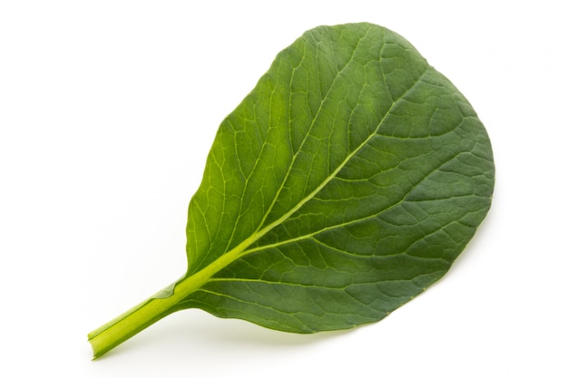 Feuilles d'épinards bouchent isolé sur blanc