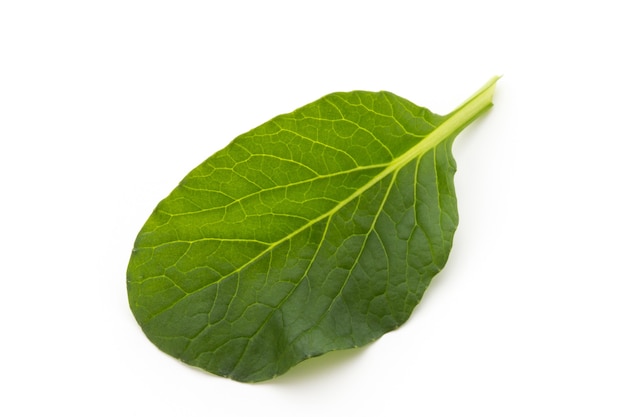 Feuilles d'épinards bouchent isolé sur blanc