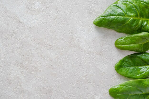 Feuilles d'épinards verts frais, aliments sains, espace copie.