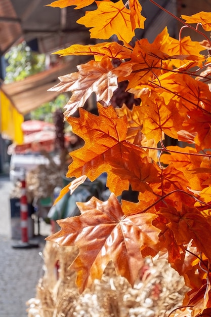 Photo feuilles d'érable artificielles en orange sur le fond de la rue photo verticale