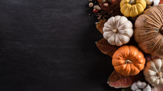 Feuilles d'érable d'automne Citrouille pour le jour de Thanksgiving.