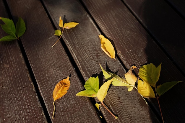 Feuilles d'érable d'automne sur fond de bois avec espace de copie Vue de dessus