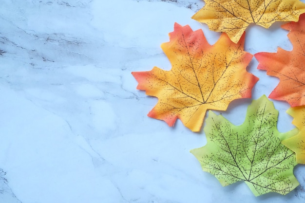 Feuilles d'érable d'automne isolés sur un espace blanc, de haut en bas