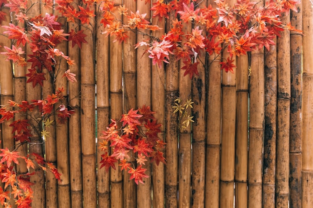 Feuilles d&#39;érable japonaises rouges décorées