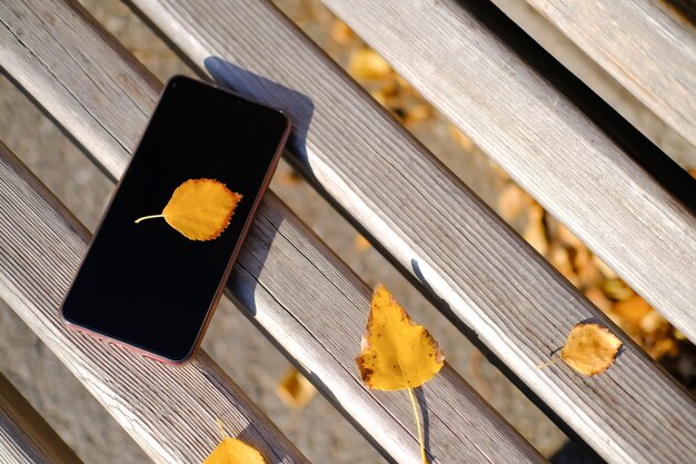 Photo feuilles d'érable jaune et téléphone sur banc de parc de la ville