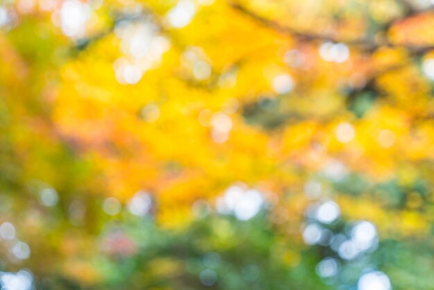 Feuilles d&#39;érable rouge floues qui fleurissent à Arashiyama