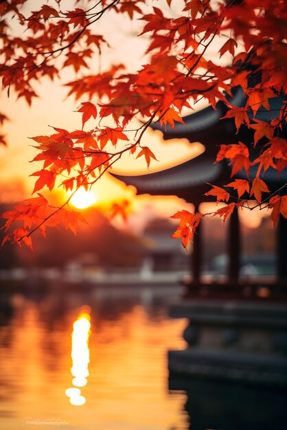 Des feuilles d'érable rouges et une pagode japonaise au coucher du soleil d'automne