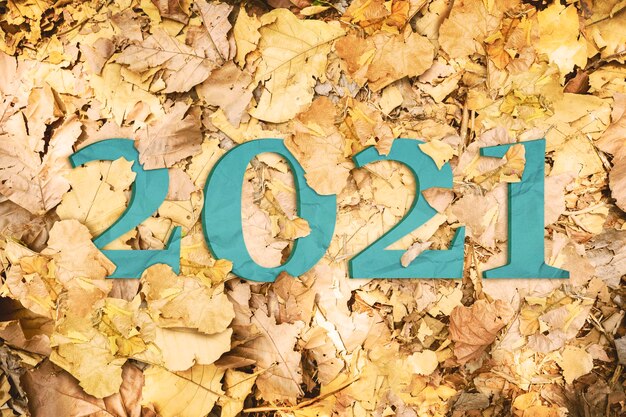 Photo feuilles fanées entassées avec le numéro 2021