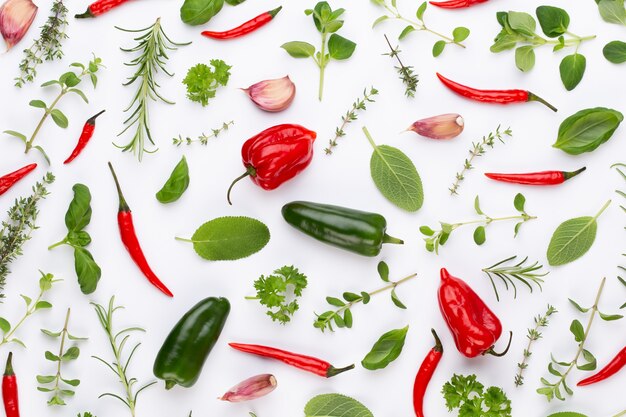 Feuilles de fines herbes d'épices et piment sur fond blanc