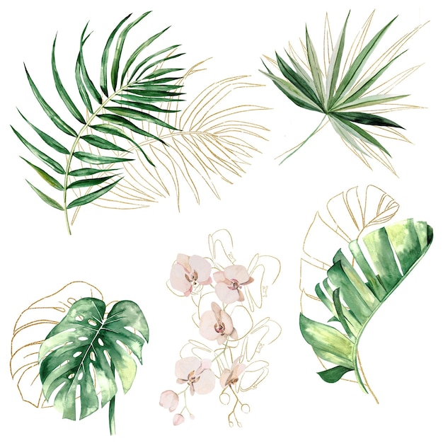 Feuilles et fleurs aquarelles tropicales vertes et dorées illustration monstera palmier banane et orchidées