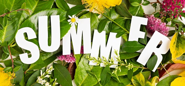 Photo feuilles et fleurs d'été avec texte découpé en papier banner d'été nature verte temps de vacances vue supérieure