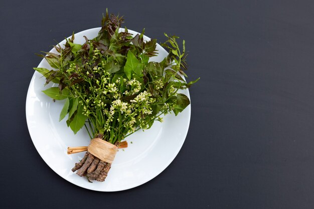 Feuilles et fleurs de neem sur dark