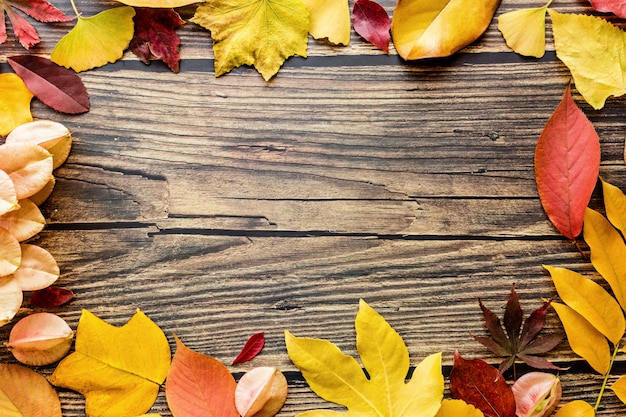 feuilles sur fond de bois marron