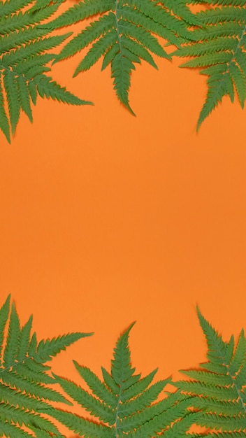 Feuilles de fougère vertes sur fond orange avec espace de copie.