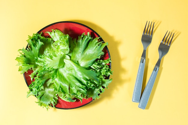 Feuilles fraîches de laitue frisée sur une assiette et fourchettes sur une table jaune. Vue de dessus