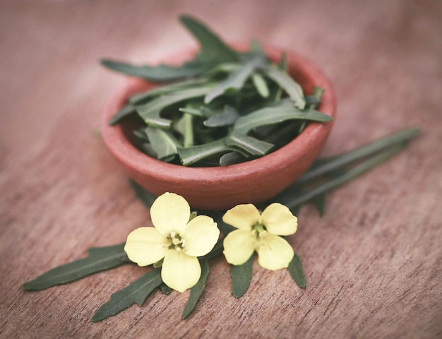 Feuilles fraîches de roquette ou de roquette avec la fleur