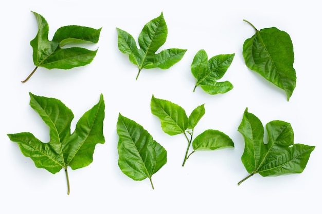 Feuilles de fruits de la passion sur une surface blanche