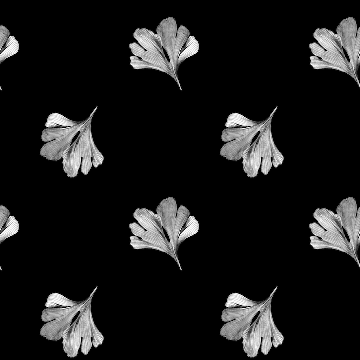 Photo feuilles grises de gingko biloba sur fond noir