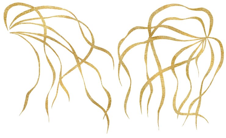 Photo feuilles d'herbe dessinées à la main contours dorés illustration isolée élément de papeterie de mariage