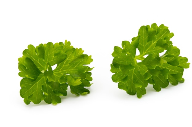 Feuilles d'herbe de persil frais isolés sur blanc.