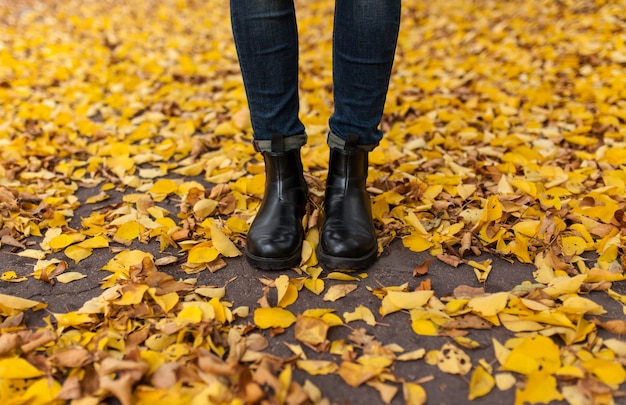 Feuilles jaunes sur l'allée d'automne