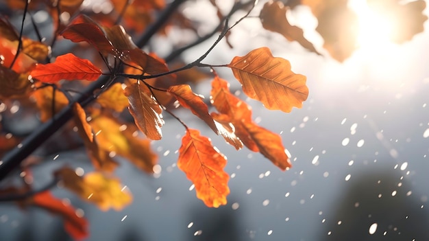 Des feuilles jaunes d'automne sur un arbre agitant dans le vent contre un ciel pluvieux et nuageux