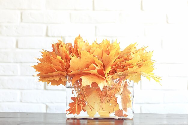 feuilles jaunes dans un vase / bouquet d'automne de feuilles d'érable, paysage d'automne à la maison, vue d'automne