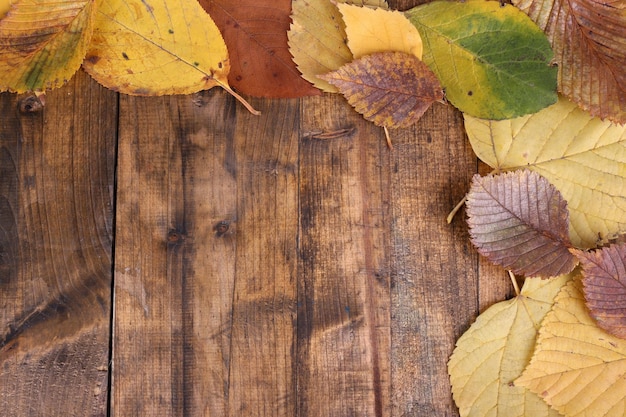 Feuilles jaunes sur fond de bois marron