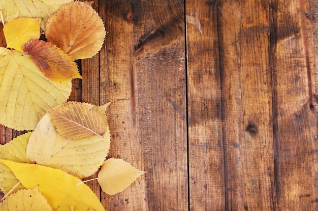 Feuilles jaunes sur fond de bois marron