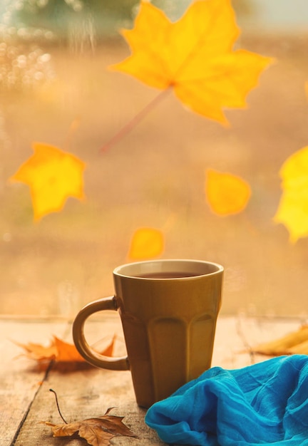 Feuilles jaunes une tasse de thé d'automne Mise au point sélective Nature