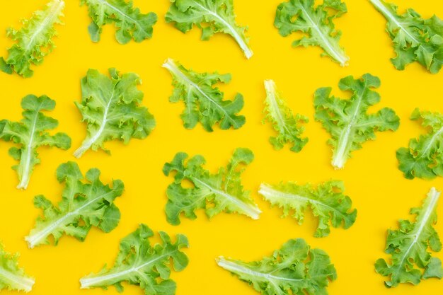 Feuilles de laitue de chêne vert sur mur jaune. Vue de dessus