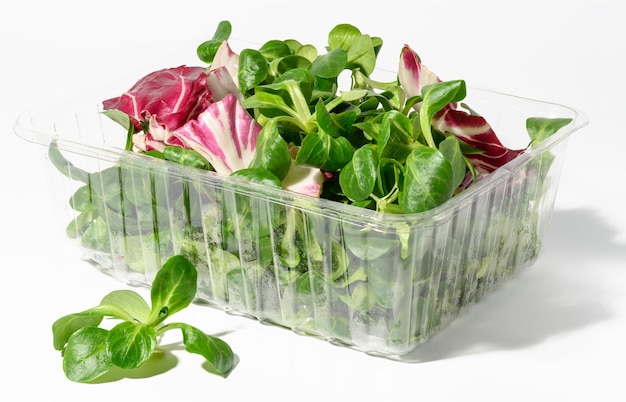 Des feuilles de laitue fraîche de haricots mung dans un récipient en plastique transparent sur un microgreen de fond blanc isolé