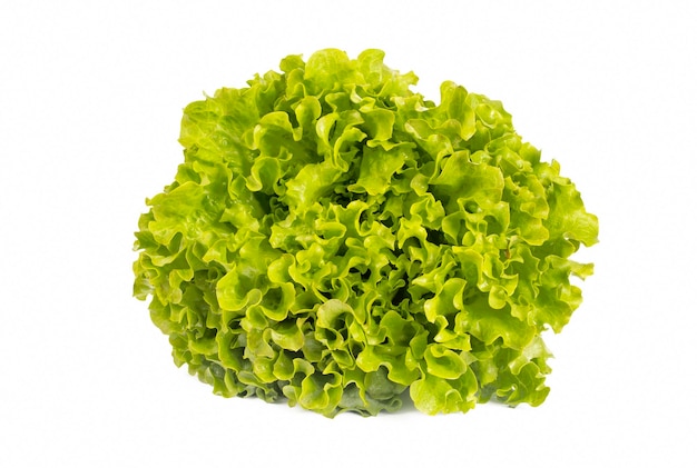 Feuilles de laitue frisée fraîche verte isolées sur fond blanc