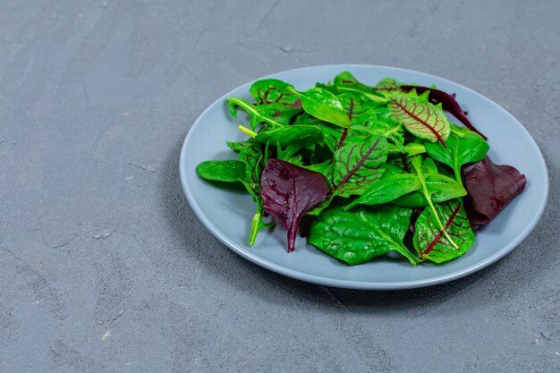 Feuilles de laitue sur une plaque grise sur un fond de béton gris Le concept d'une bonne nutrition Aliments végétaliens Place pour une inscription