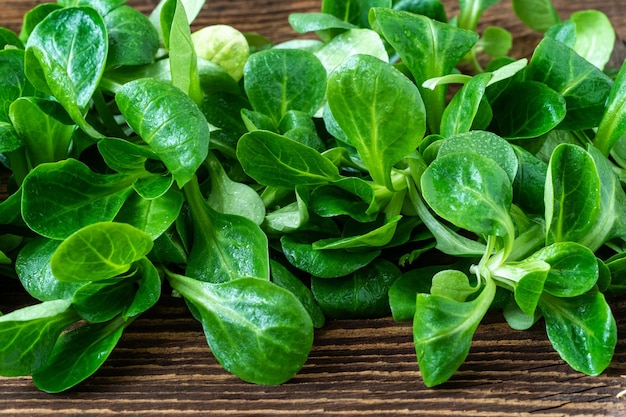 Feuilles de laitue verte Valerianella locusta Salade de maïs de mâche fraîche sur table en bois rustique