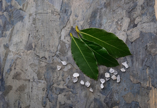 Feuilles de laurier fraîches et sel. Mise au point sélective